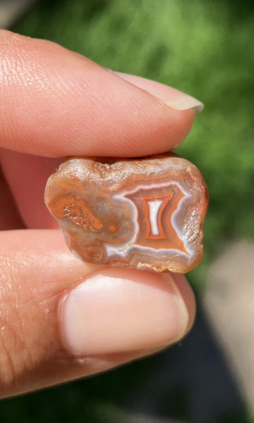 A small banded agate shaped like the state of Minnesota, held between Rachel’s fingers